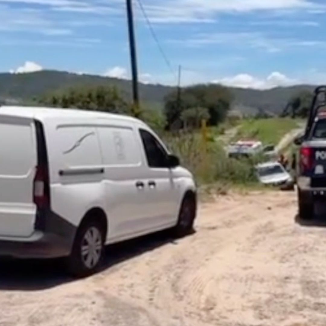 Enjambre de Abejas Ataca y Mata a un Hombre en San Miguel de Las Carpas en Acámbaro